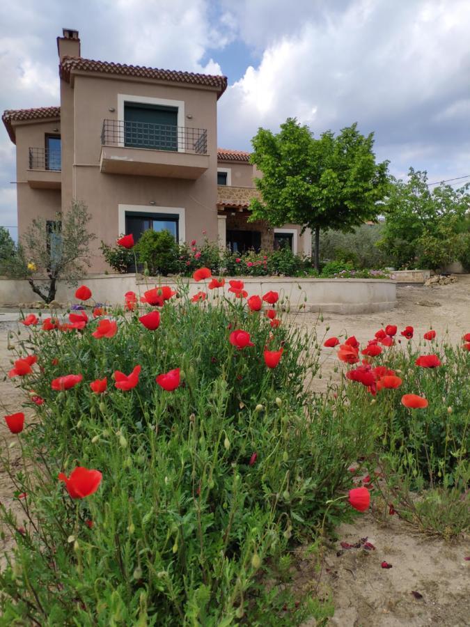 Olive Tree Cottage 2 Nea Peramos  Exterior photo